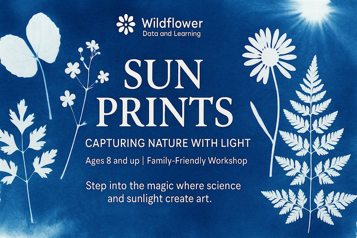 Science meets fun with Sun Prints: Capturing Nature with Light