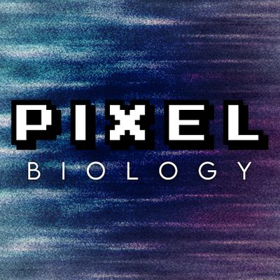 Pixel Biology Ltd.