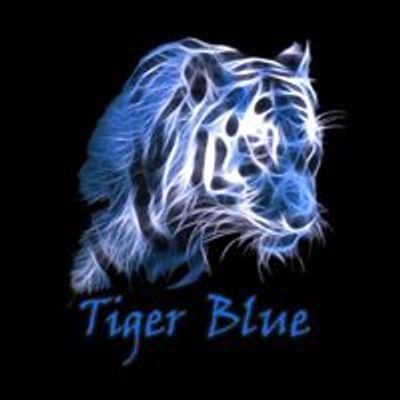 Tiger Blue - Cape Coral
