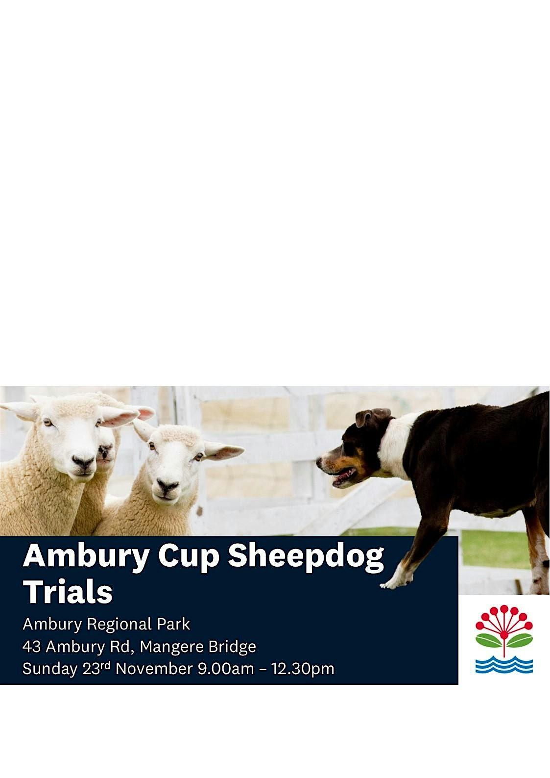 Ambury Cup Sheepdog Trials 2025