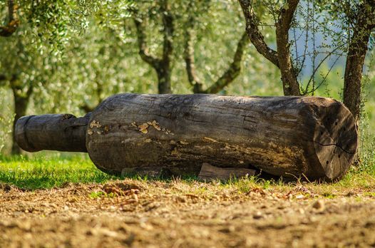 "Terreno" en ving\u00e5rd i hj\u00e4rtat av Chianti Classico