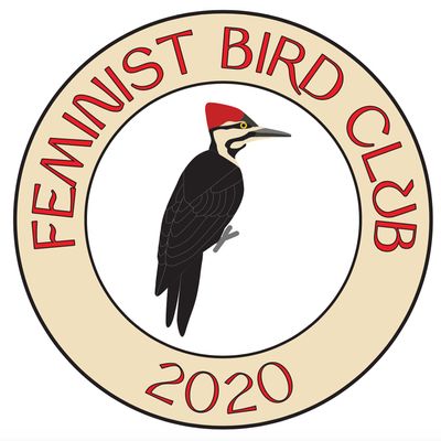 Feminist Bird Club - San Francisco Bay Area