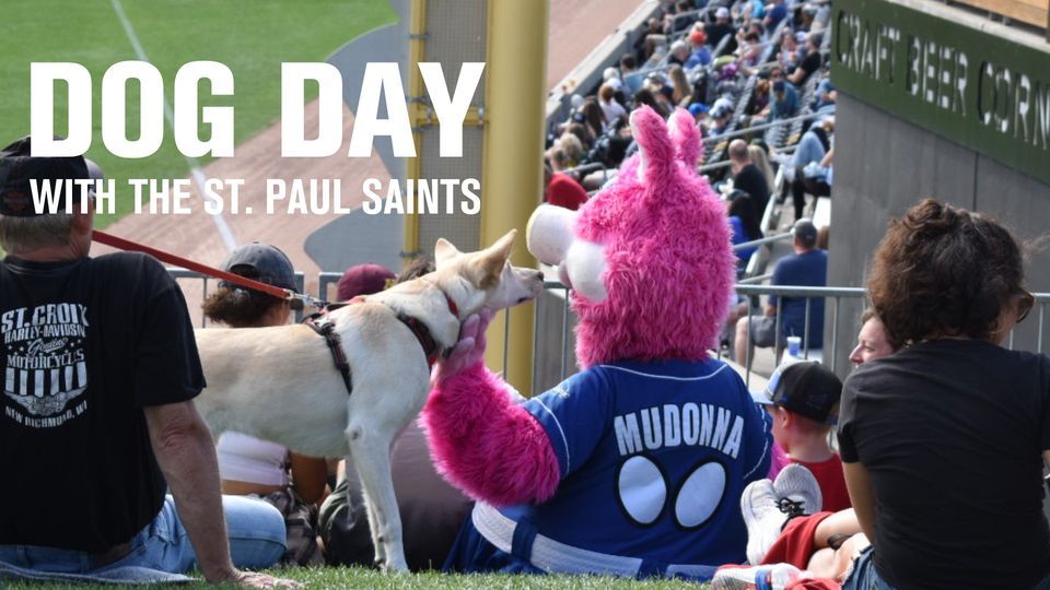 Dog Day with the St. Paul Saints CHS Field, Saint Paul, MN