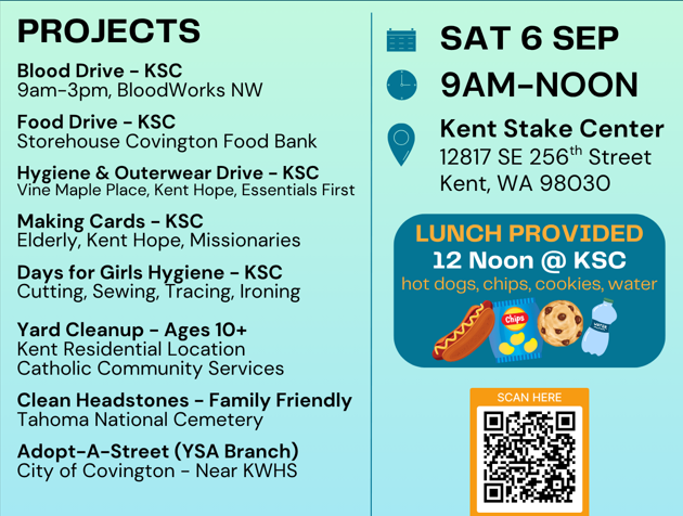 Stake NDOS National Day of Service