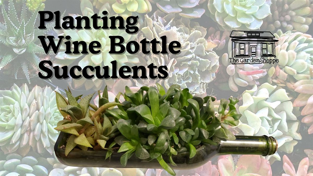 Planting a wine bottle with succulents!