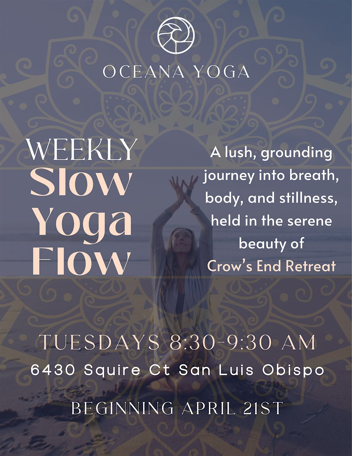 Weekly Slow Yoga at Crow's End Retreat