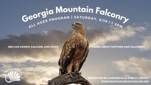 Georgia Mountain Falconry Raptor Program Bartow County Library System Cartersville Ga June 19 2021 Georgia Mountain Falconry Raptor Program Bartow County Library System Cartersville Ga June 19 2021