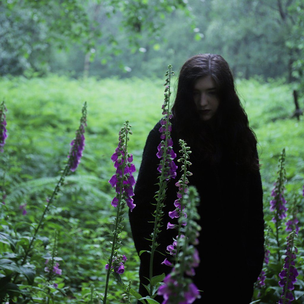 Weedipus - Album Launch