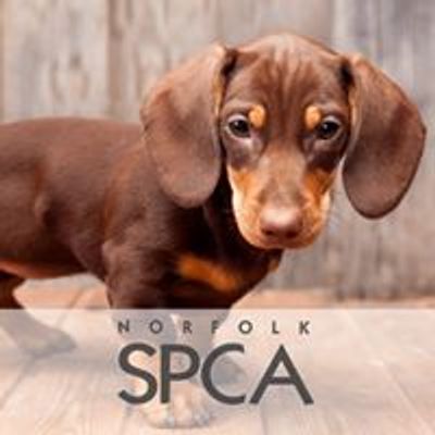 Norfolk SPCA Adoption Center & Veterinary Clinics