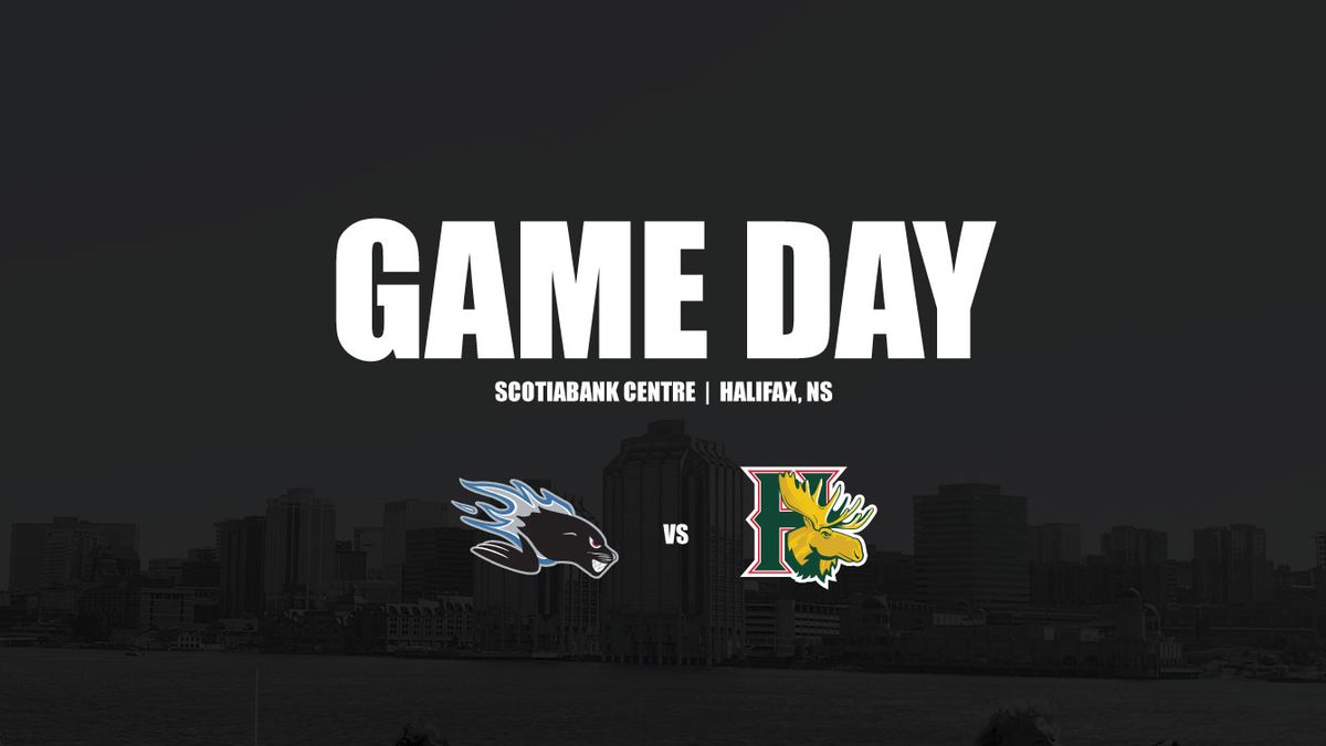 Halifax Mooseheads vs. Saint John Sea Dogs