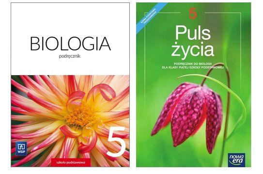 ćwiczenia Do Biologii Klasa 5 - Klasa 5. - Kurs z Biologii 2021-22 | Biologia i JA - kursy korepetycje