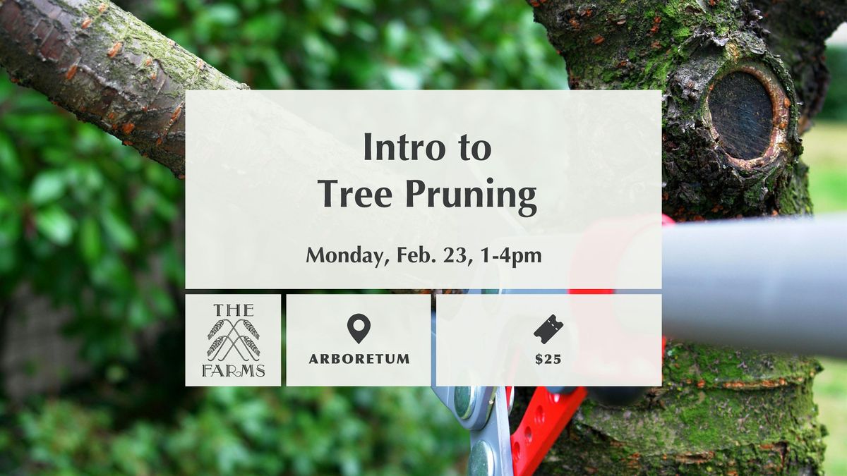 Intro to Tree Pruning