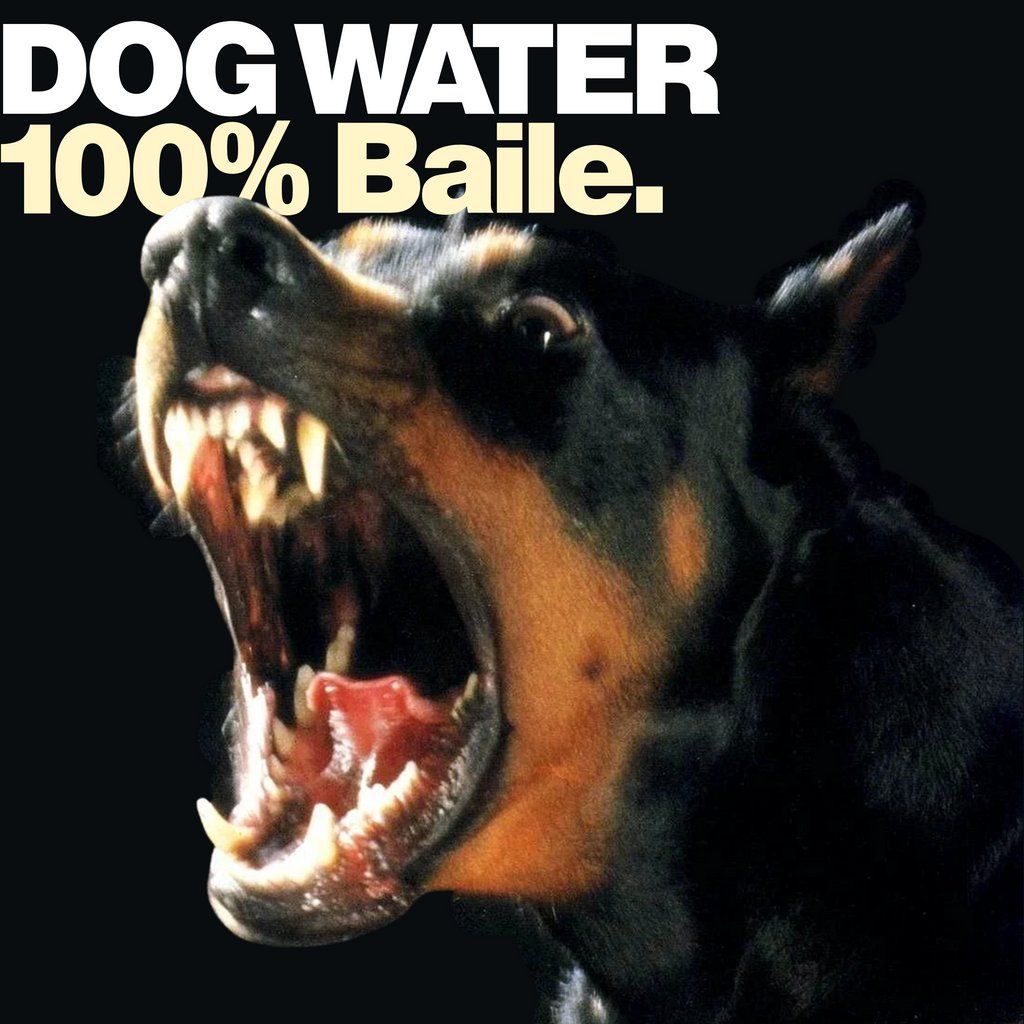 Dog water