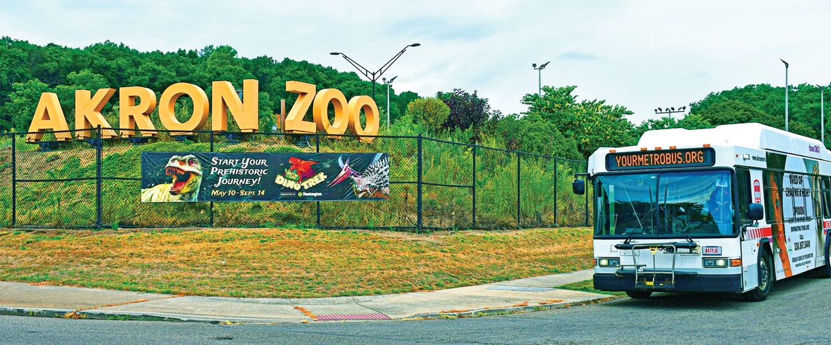 Parking Dallas Smith