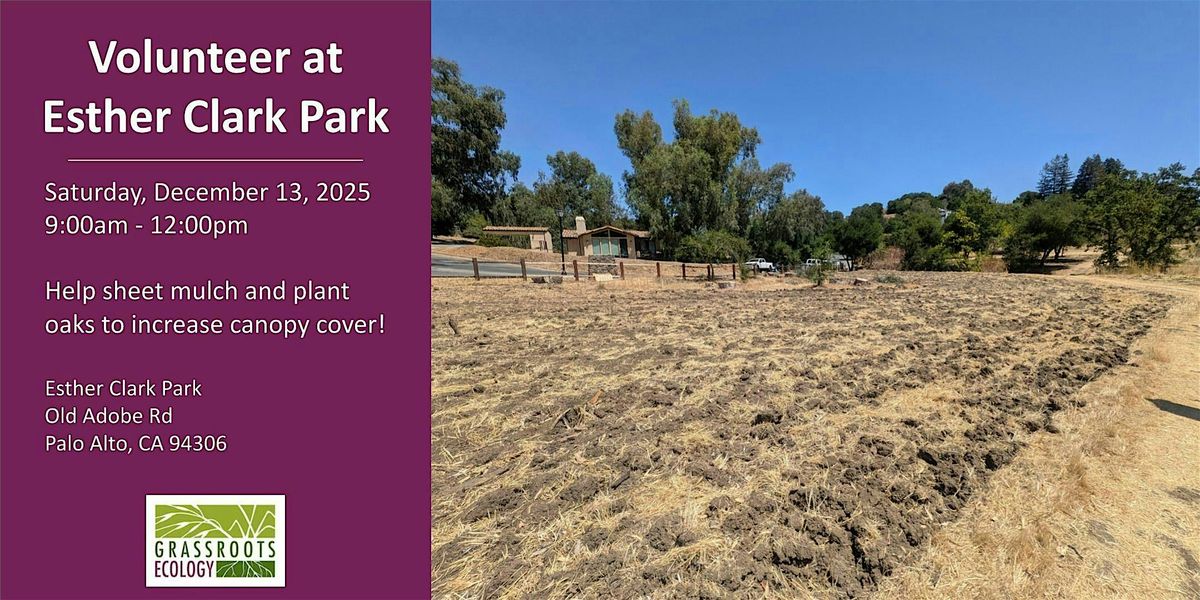 Volunteer Outdoors in Palo Alto: Tree Planting at Esther Clark Park
