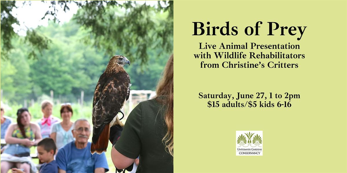 Live Animal Program: Birds of Prey