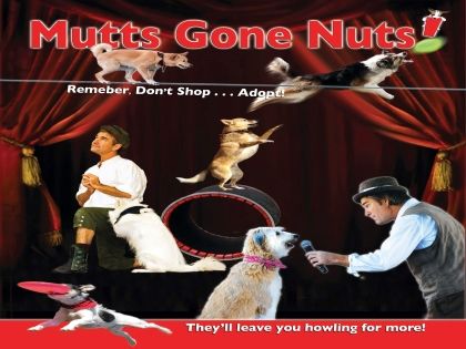 Mutts Gone Nuts