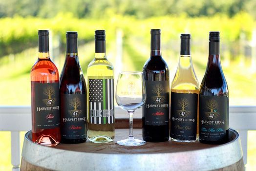 Wine Tastings | Harvest Ridge Winery, Marydel, MD | March 12, 2022