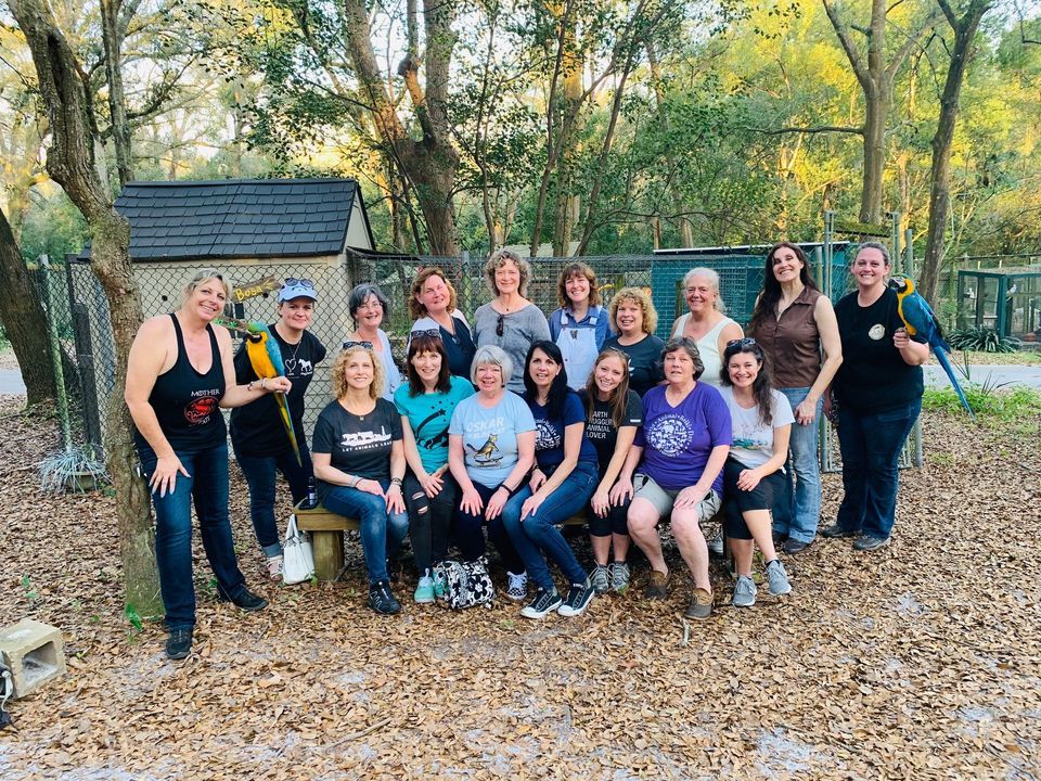 Animal Reiki Gone Wild: Practitioner Immersion Days