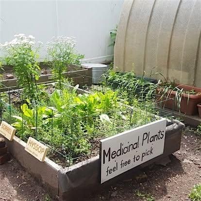 June Medicinal Workshop