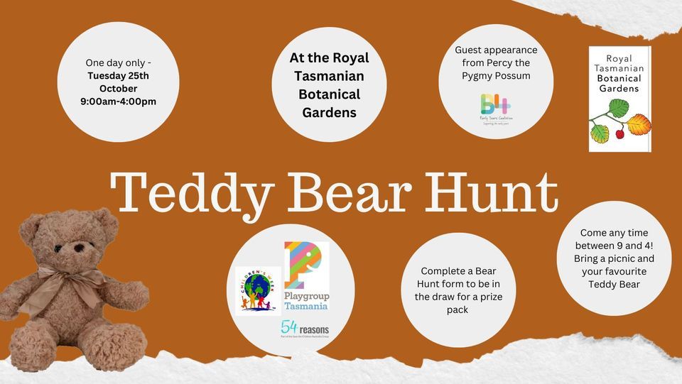 Teddy Bear Hunt at the Botanical Gardens Royal Tasmanian Botanical