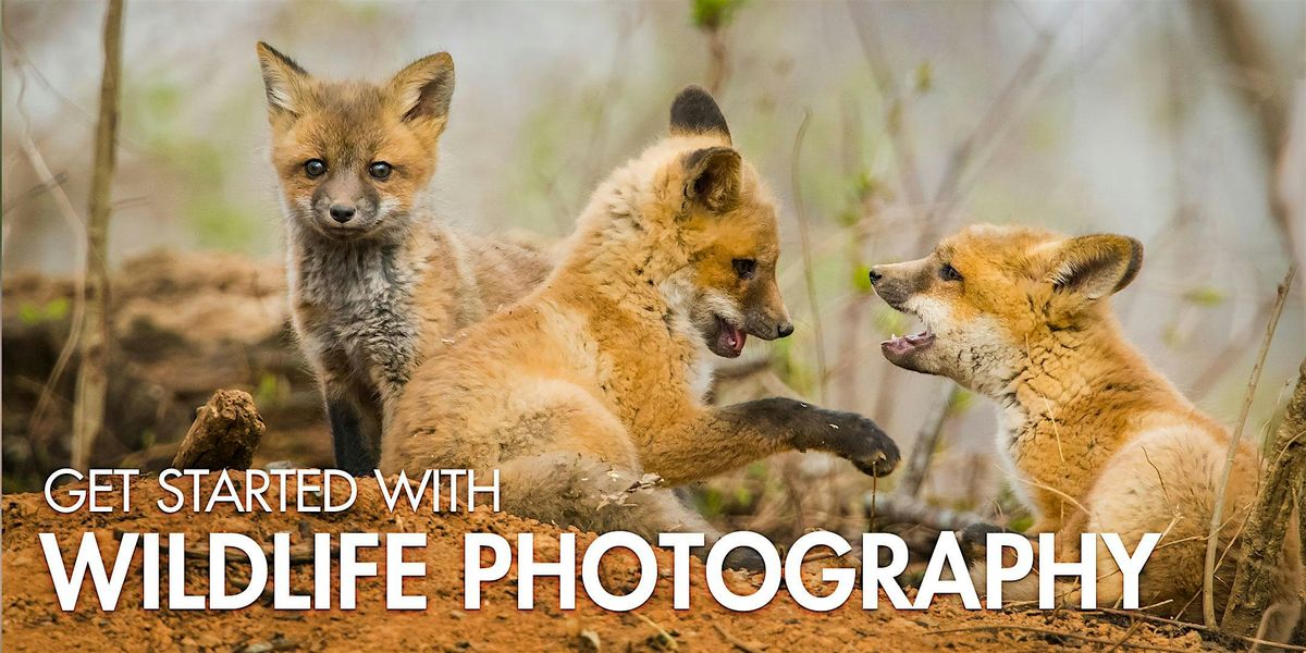 Get Started with Wildlife Photography