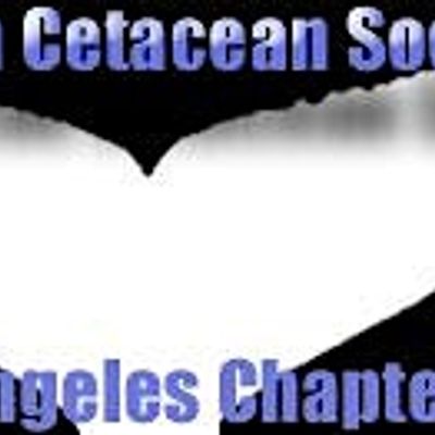 American Cetacean Society Los Angeles Chapter