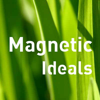 Magnetic Ideals