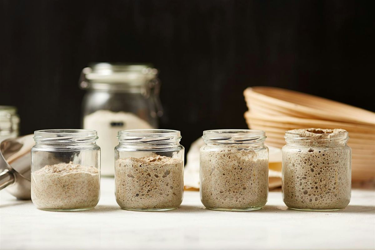 The Art & Science of Sourdough: A Hands-On Theory Class + Take Home Kit