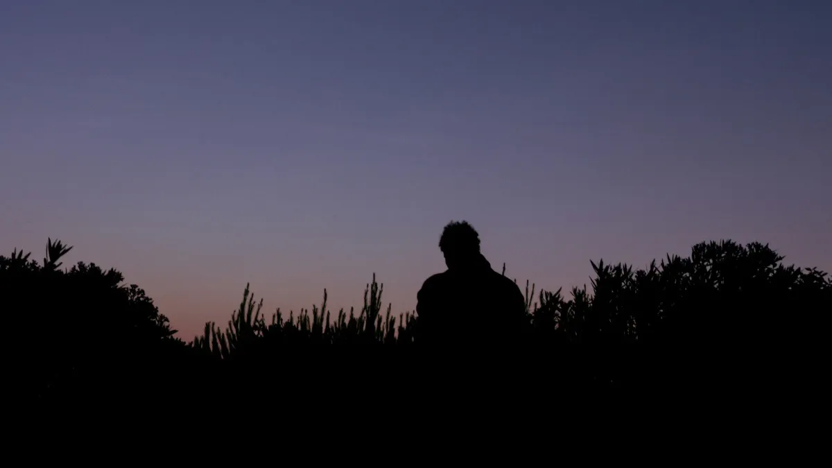 disiz in Ramonville St Agne