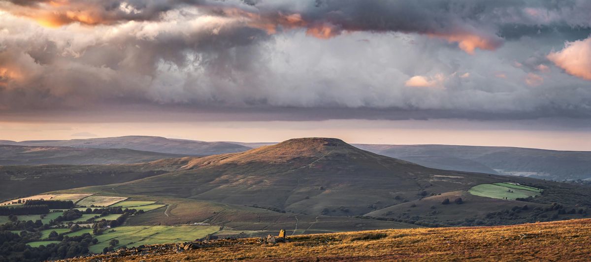 Exploring the Dynamics of Attachment -Enhancing health & wellbeing