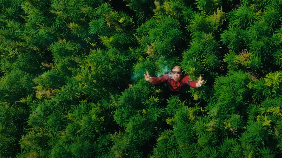 Chillinit in Tamworth