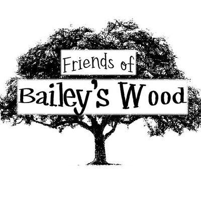 Friends of Bailey's Wood