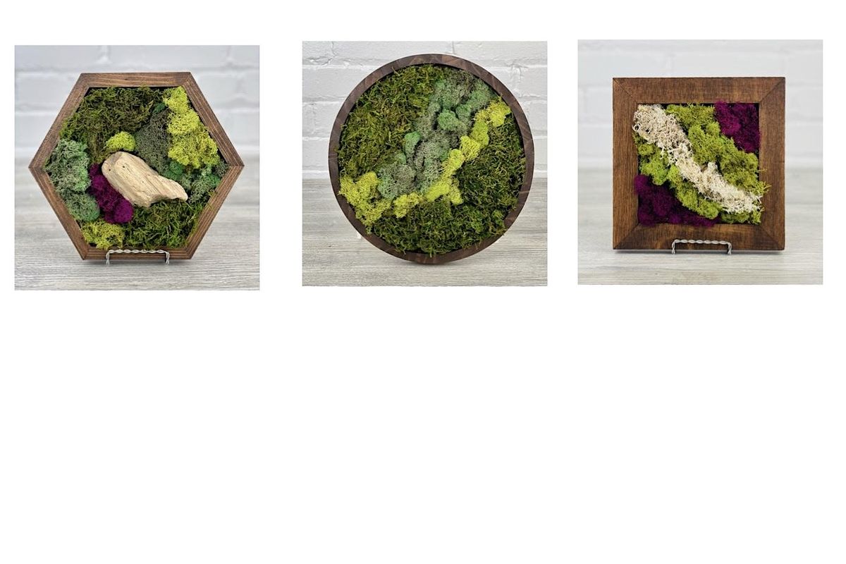 Preserved Moss Wall Art Class