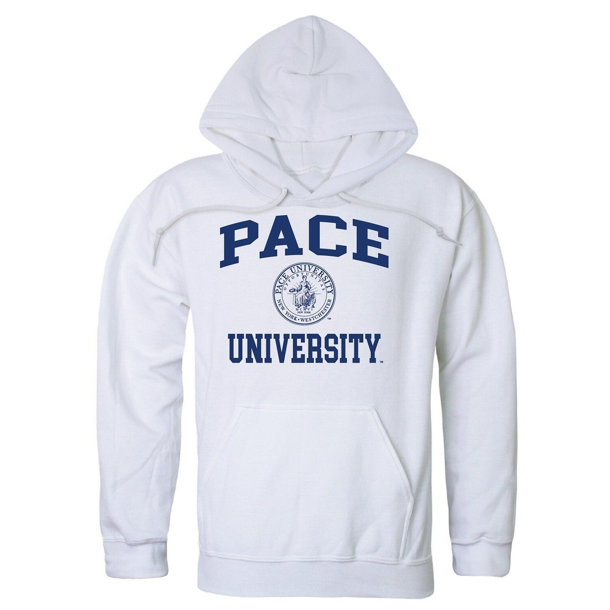 American International Yellow Jackets vs. Pace University Setters