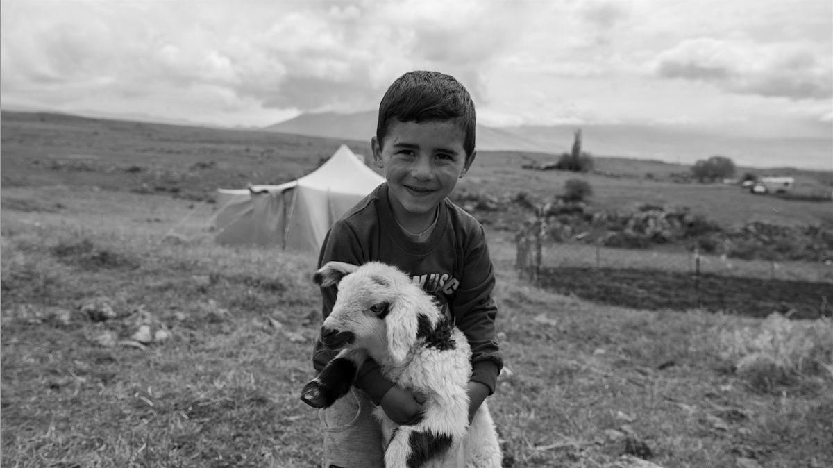 Voices of Minority: Communities in Armenia