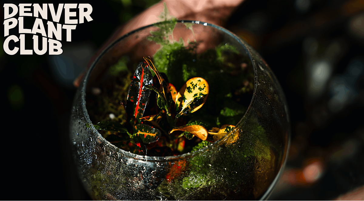 Terrarium Workshop with Denver Plant Club (12\/6\/25) *HOLIDAY PRICING*