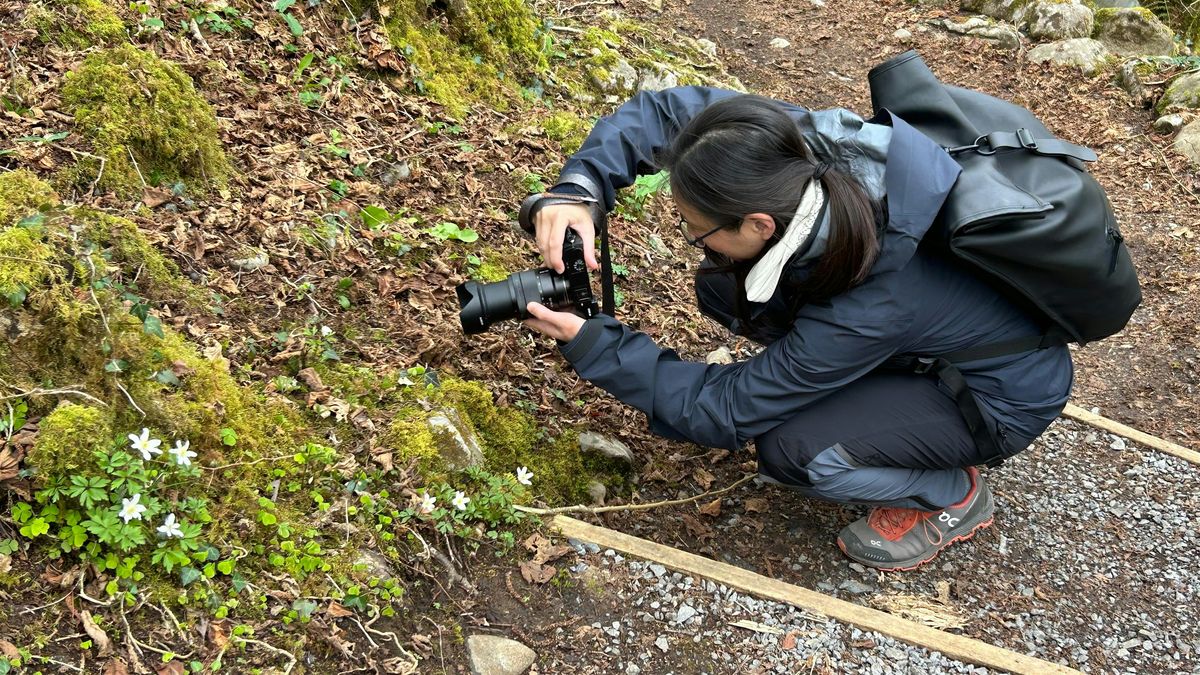 Lens on Nature: Photo Walk