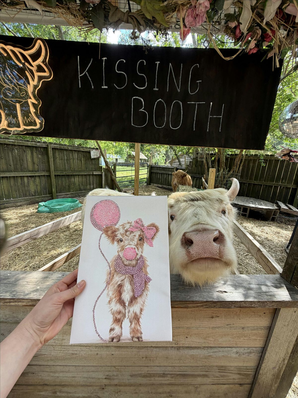 Rhinestone Cowgirl Farm Bedazzle Class