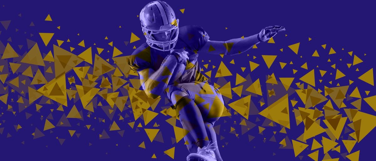 Minnesota Vikings vs. Baltimore Ravens