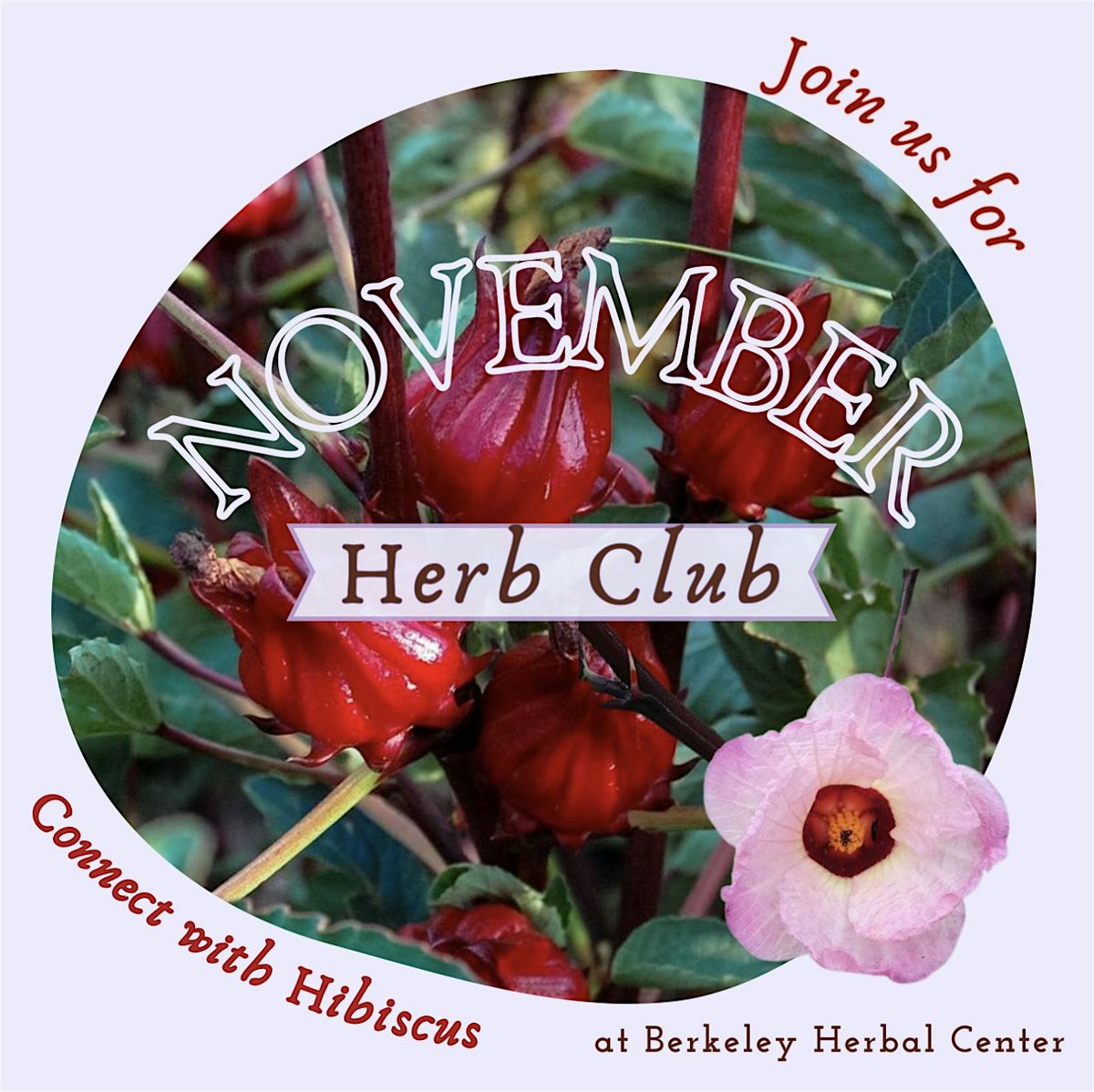 November Herb Club