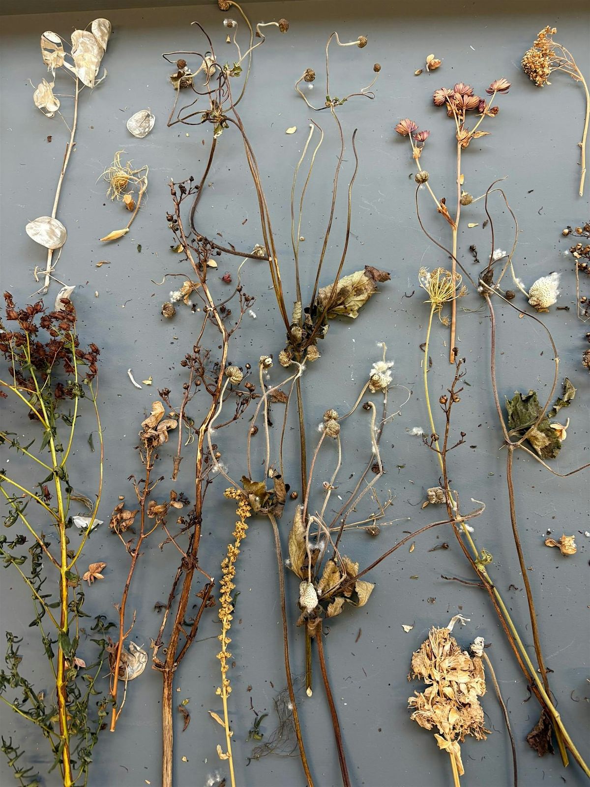 Garden Like an Artist