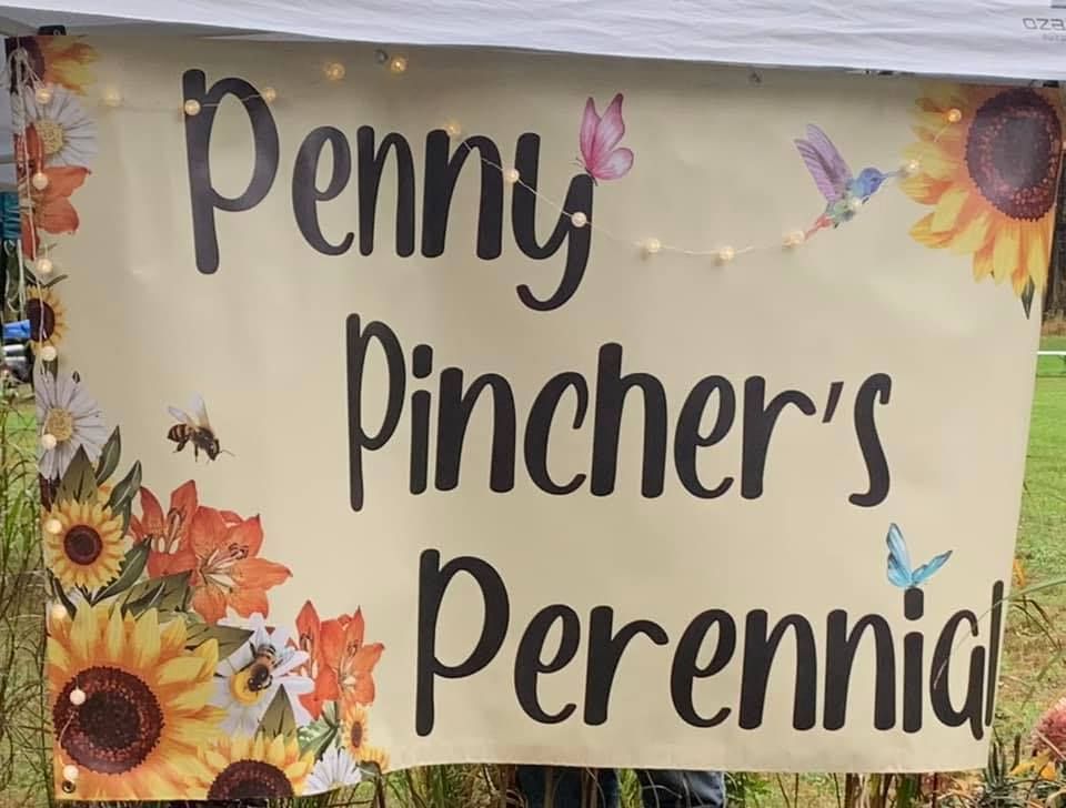 Butler Farm Show At Butler Farm Show On 8th August 2022 butler-farm-show-at-butler-farm-show-on-8th-august-2022