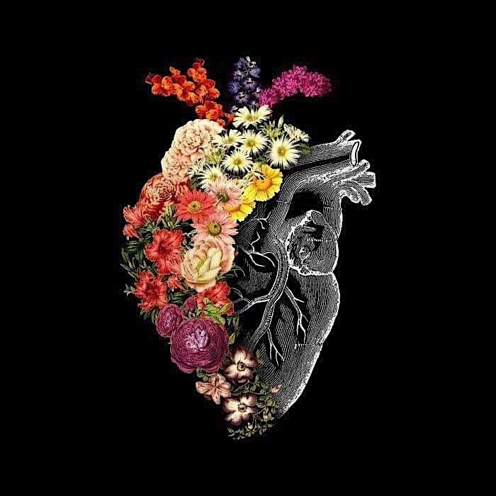 Holotropic Breathwork & Optional Integration