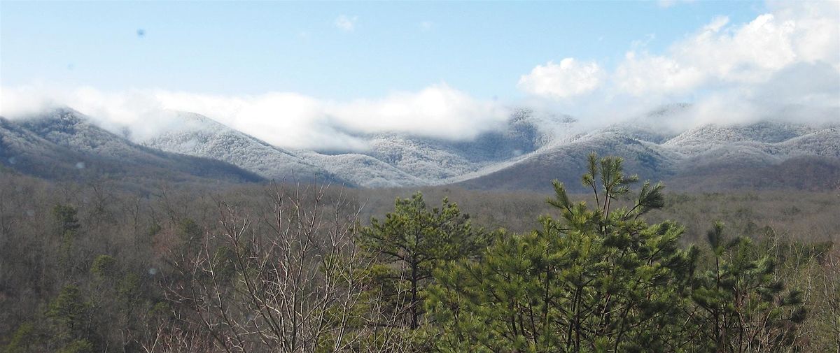 Winter Painting: Finding Beauty in the Cold Months