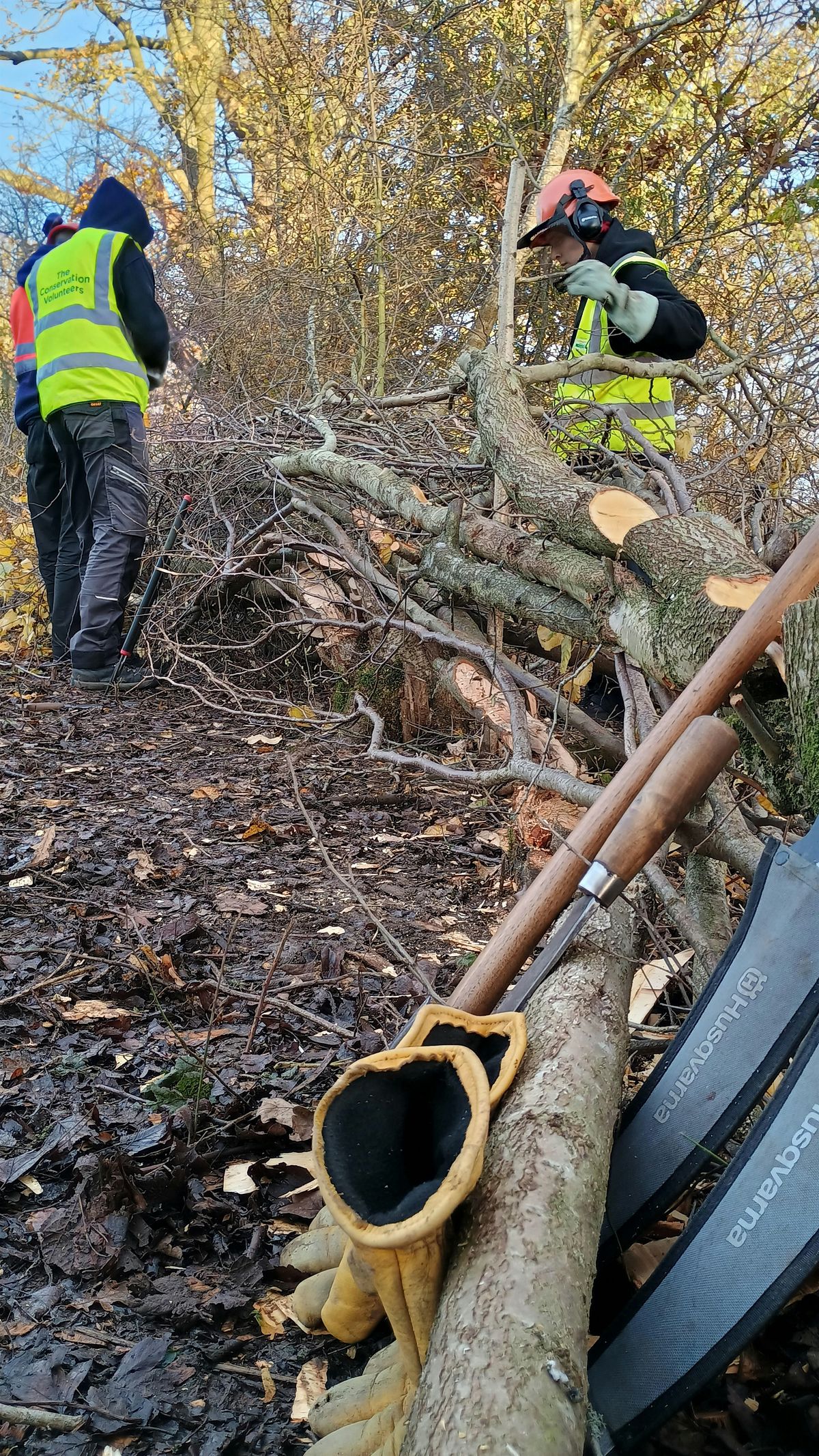 Woodland management - Cammo Estate