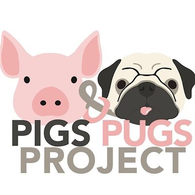 Pigs & Pugs Project