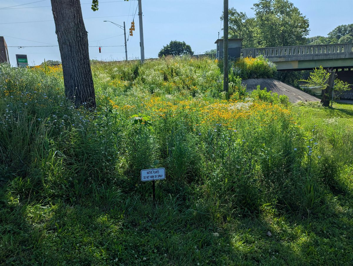 Native Plant Restoration and Stormwater Management Strategies for HOAs