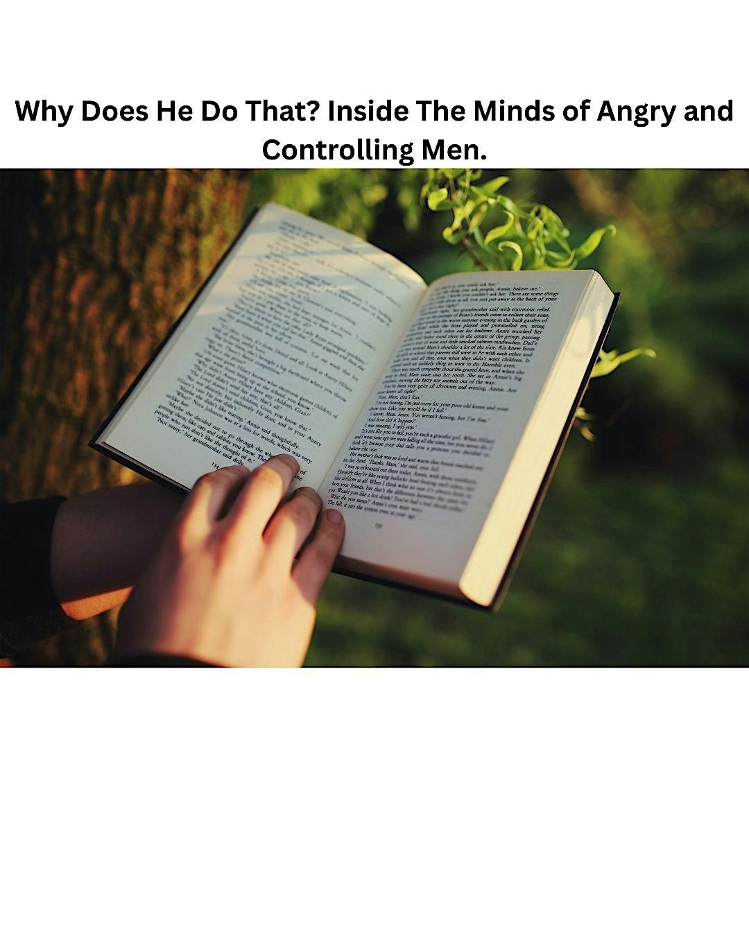 Why Does He Do That? Inside The Minds of Angry and Controlling Men.