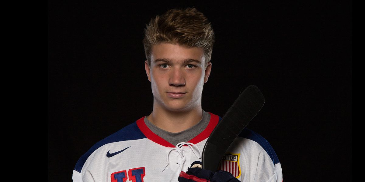 USA Hockey National Team Development Program vs. Ferris State University